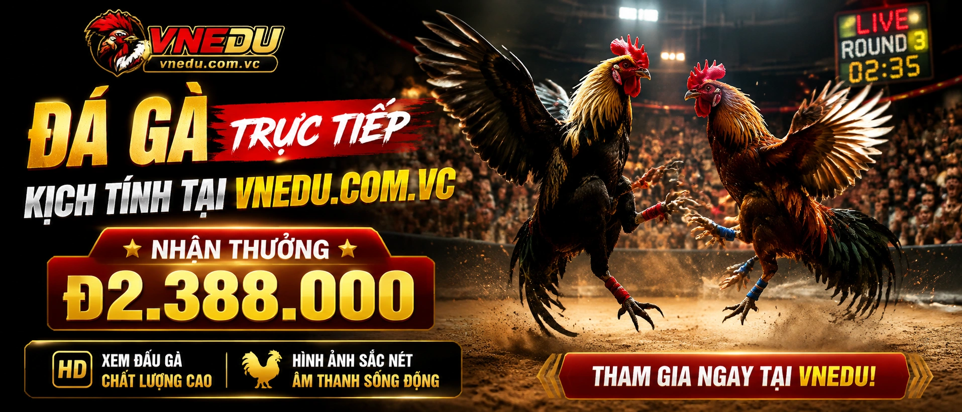 Không gian Đá Gà Campuchia nổi bật trên VNEdu