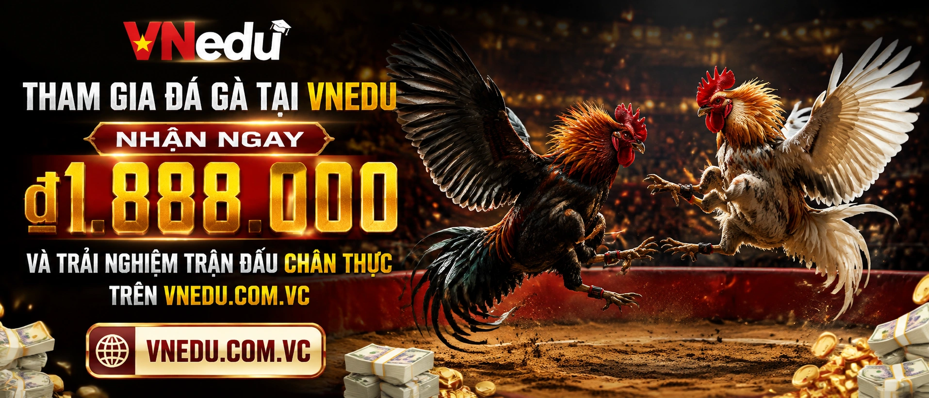 Trải nghiệm Đá Gà trên mobile với bố cục gọn tại VNEdu